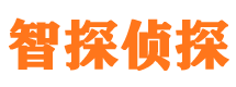 回民市侦探调查公司